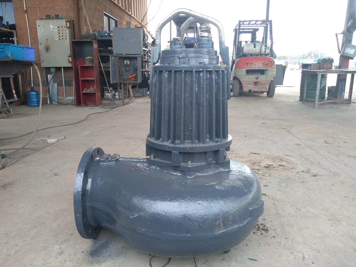 Bomba sumergible para sólido de 15 hp de 10" x 10" - imagen 1