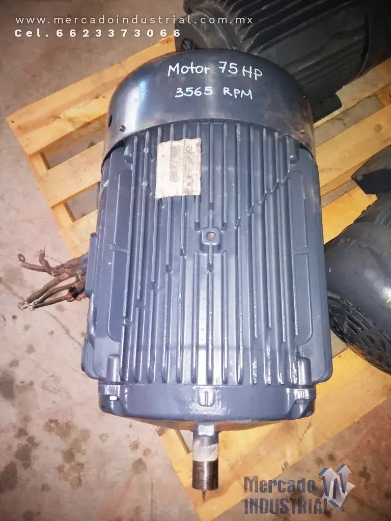 Motor eléctrico 75 HP 2 polos 3565 RPM - imagen 1