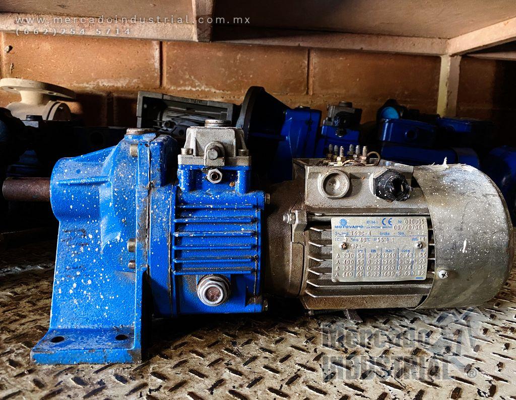 Motovariador .2 HP 1680 RPM 9038238 marca Motovario - imagen 1