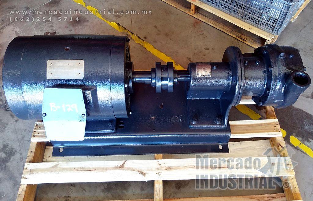 Bomba centrífuga 2 x 1 1/2" 20 HP modelo I2C-10 15034E12 marca Myers - imagen 1