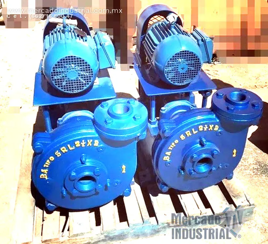 Bomba SRL 2 ½ X 2 tipo Denver con motor 3 HP - imagen 1