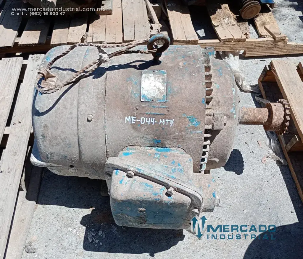 Motor eléctrico 30 HP 8 polos 890 RPM - imagen 1