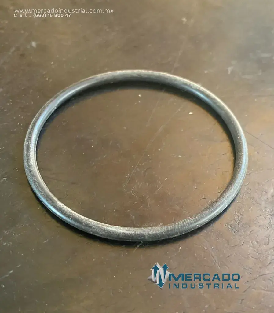 Anillo en "O" 5 cm parte 6672013 marca Briggs - imagen 1
