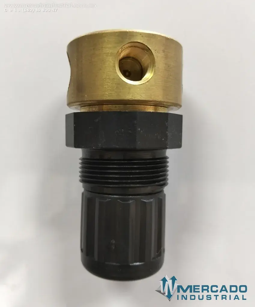 NORGEN WATER REGULATOR 1/4'' (R06-2H7-NNAA) - imagen 1