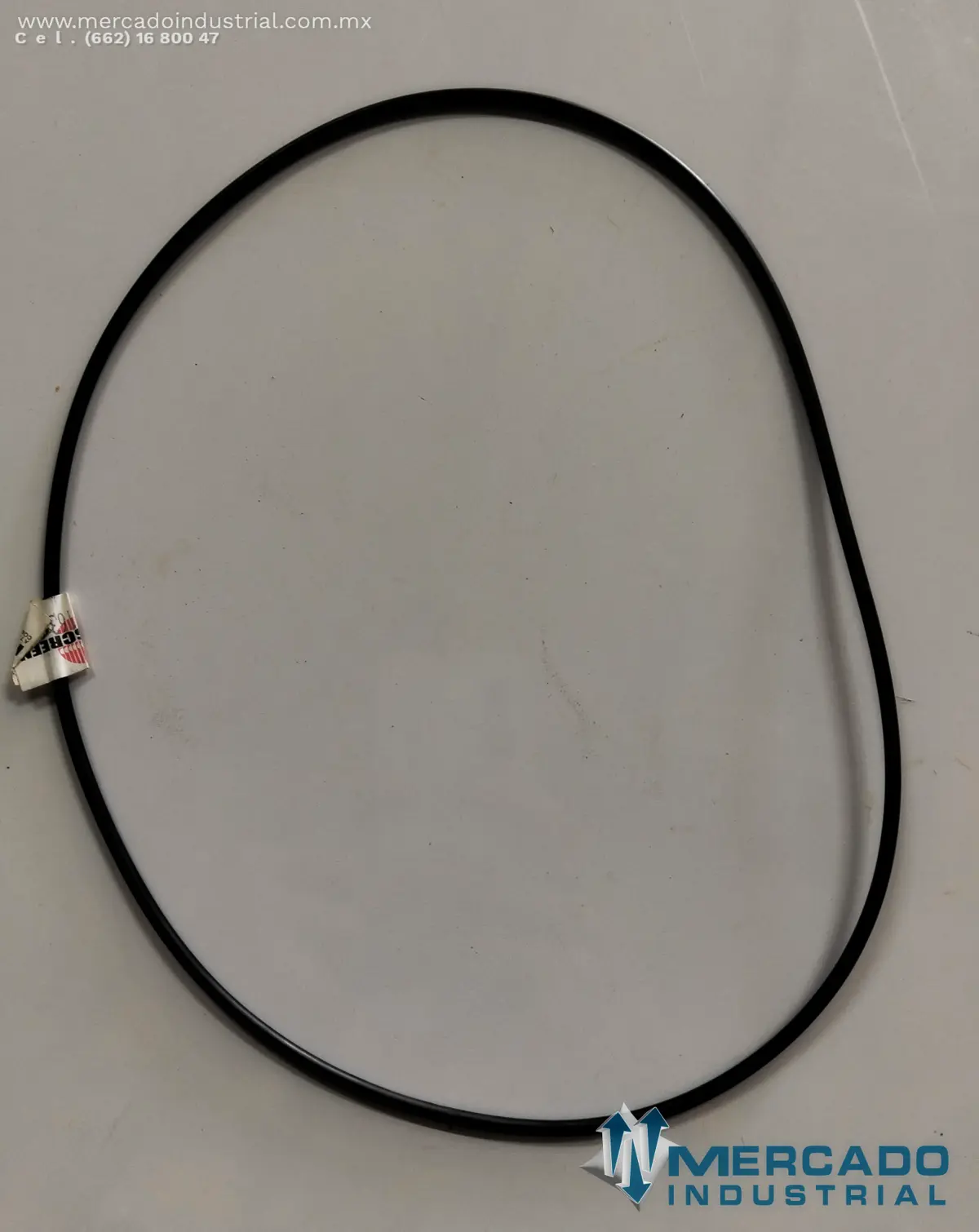 TEREX O-RING OUTER 629/163 (4242) - imagen 1