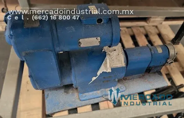 Bomba positiva de lóbulos modelo M10C1805 marca WAUKESHA - imagen 1