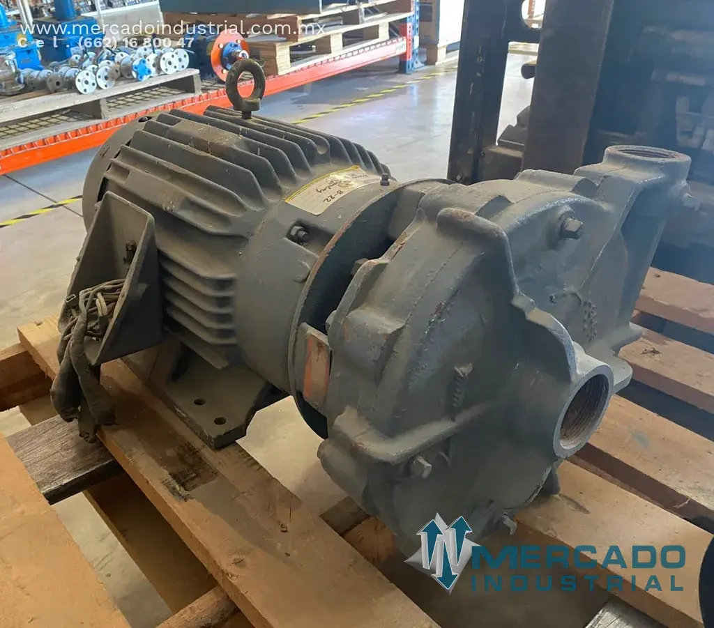 Bomba centrífuga 2 x 1 1/2" con motor 20 HP marca Berkeley - imagen 1