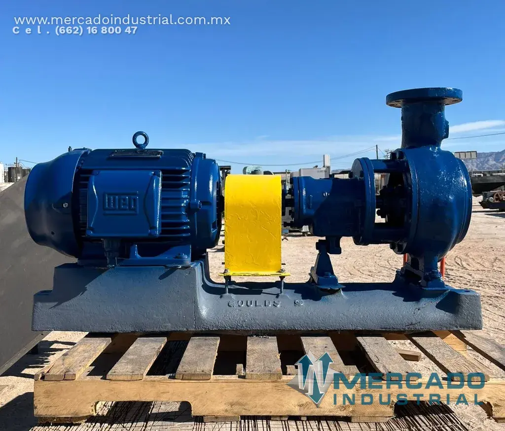 Bomba centrífuga 4x6" 25 HP marca GOULDS PUMPS - imagen 1
