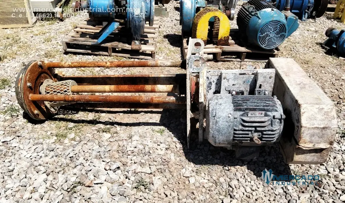 Bomba de lodos vertical 4x3" 25 HP - imagen 1