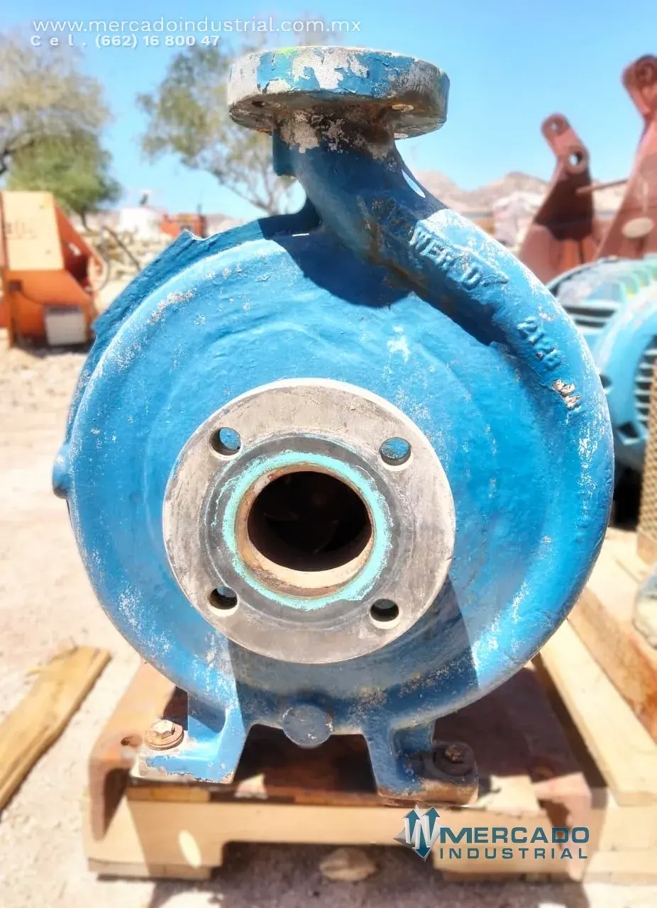 Bomba centrífuga 2x3" 15 HP marca GOULDS PUMPS - imagen 1
