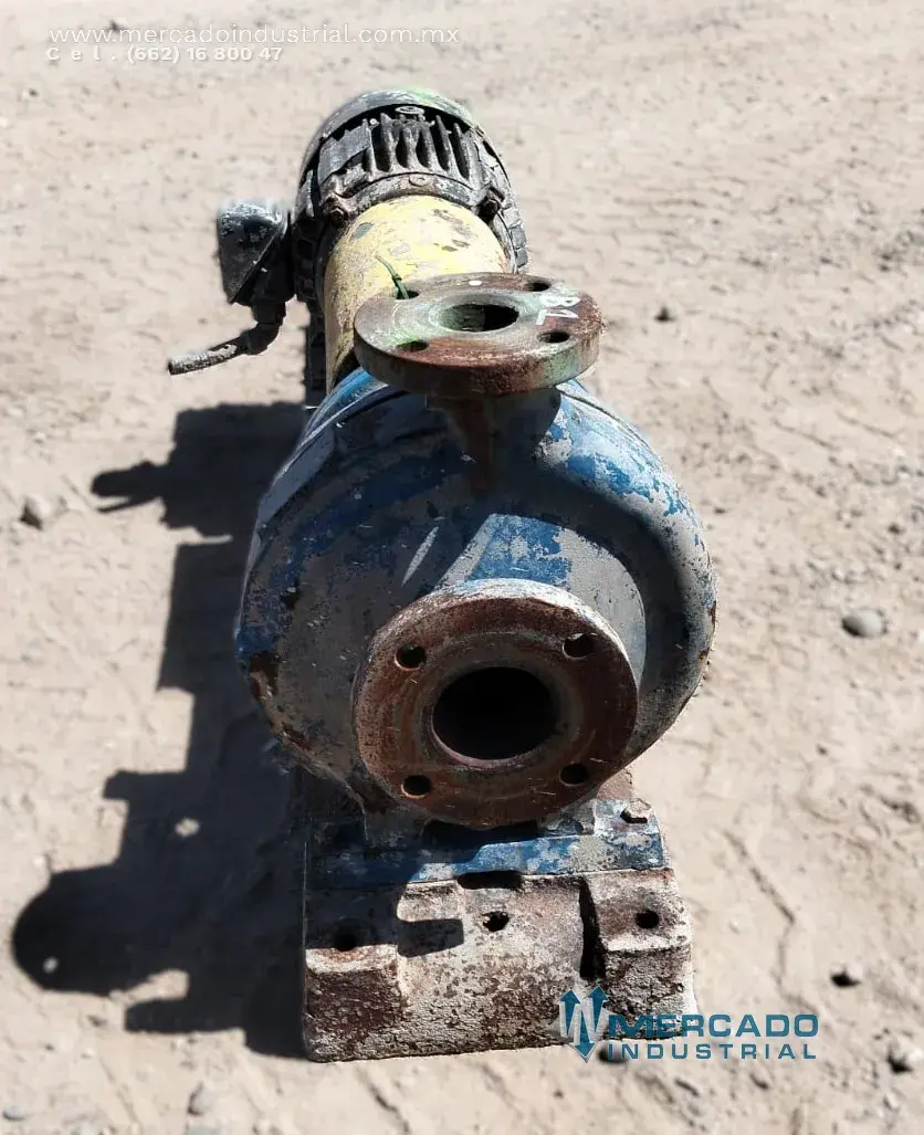 Bomba centrífuga 2x3" 10 HP modelo 3196 marca GOULDS PUMPS - imagen 1